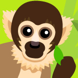 Bolivian squirrel monkey illustration